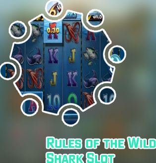 Wild shark slot